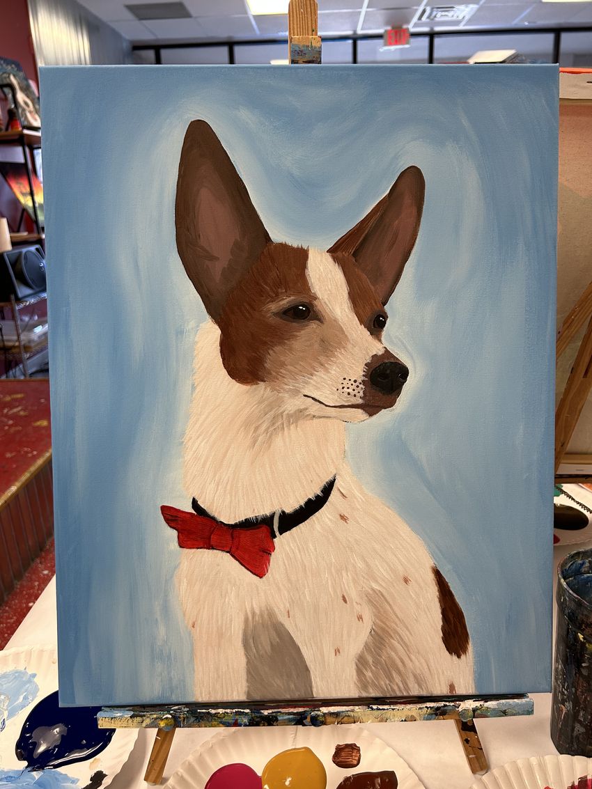 Davis Canvas